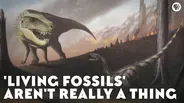 Living Fossils' Aren't Really a Thing