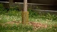 Clippings: Community Greening