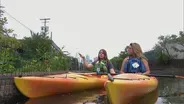 Explore the Chicago River on Kayak Conservation Tour