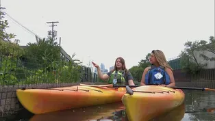 Explore the Chicago River on Kayak Conservation Tour
