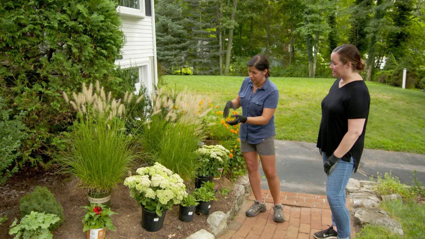 Scorched Floor, Hardy Plantings | Ask TOH