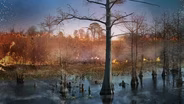 Why Does This Swamp Keep Catching Fire?