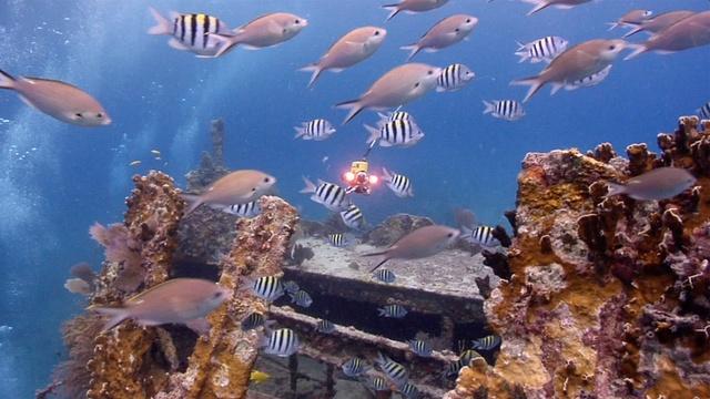 Changing Seas | Sunken Stories