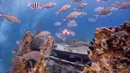 Sunken Stories