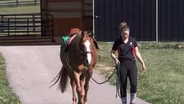 Equine Therapy Program Helping Children Thrive