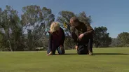 Growing a Greener Golf Course