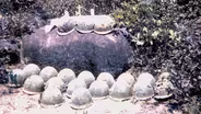 Vietnam Veteran Allen Hoe Remembers His Fallen Brothers (Feature Part 1)