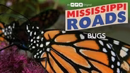 BUGS