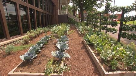 Video thumbnail: Volunteer Gardener Volunteer Gardener 2605