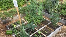 Video thumbnail: You Bet Your Garden You Bet Your Garden Ep: 26