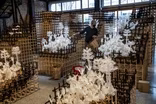 Feb. 17, 2021 - Flowers grow from towers in Seattle art show