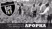 Apopka