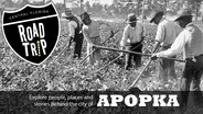 Apopka