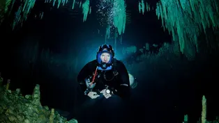 Steve’s Training Dive