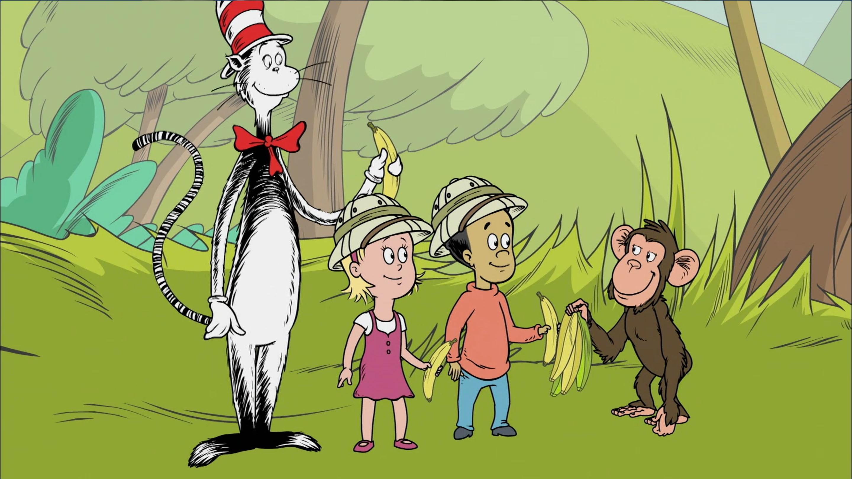 The Cat In The Hat Knows A Lot About That A Sweet Dealking