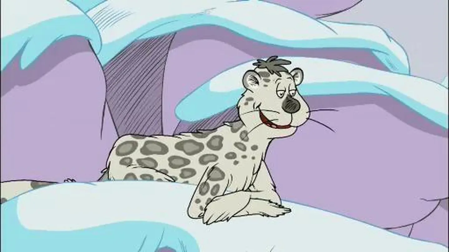 Introducing the Big Cats
