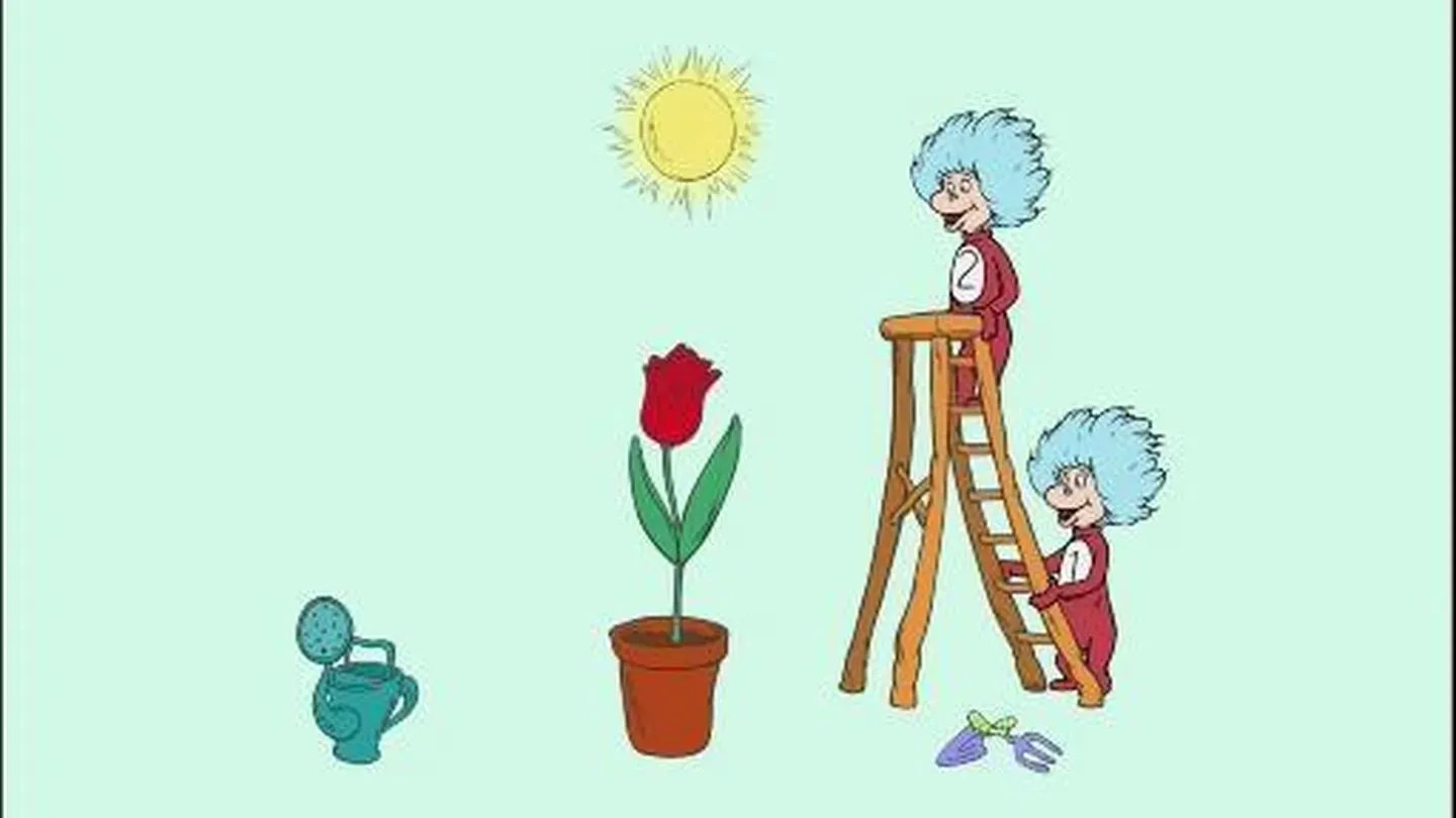 The Things Grow a Rose