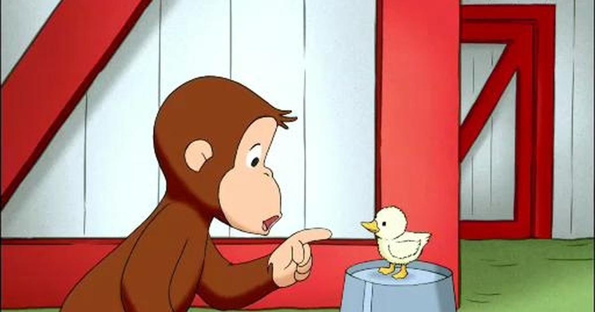 Curious George | A Monkey's Duckling | Season 5 | PBS