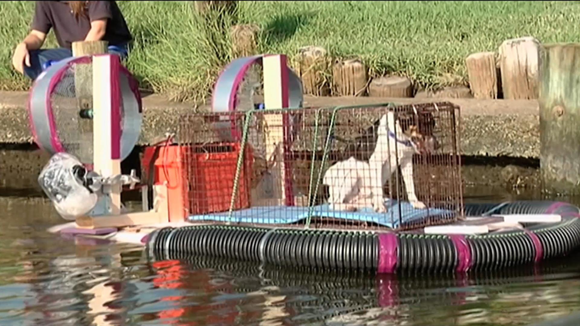 Water Rescue Part 2 (Ep. 304)