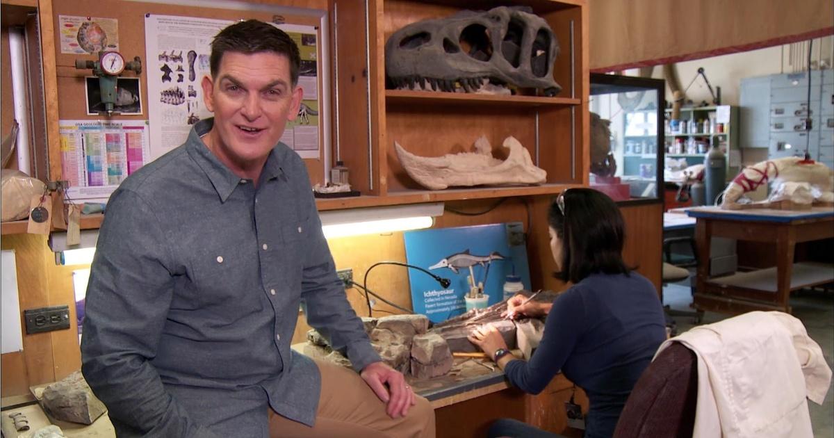 Dinosaur Train Dinosaur Discoveries Preparing Fossils PBS