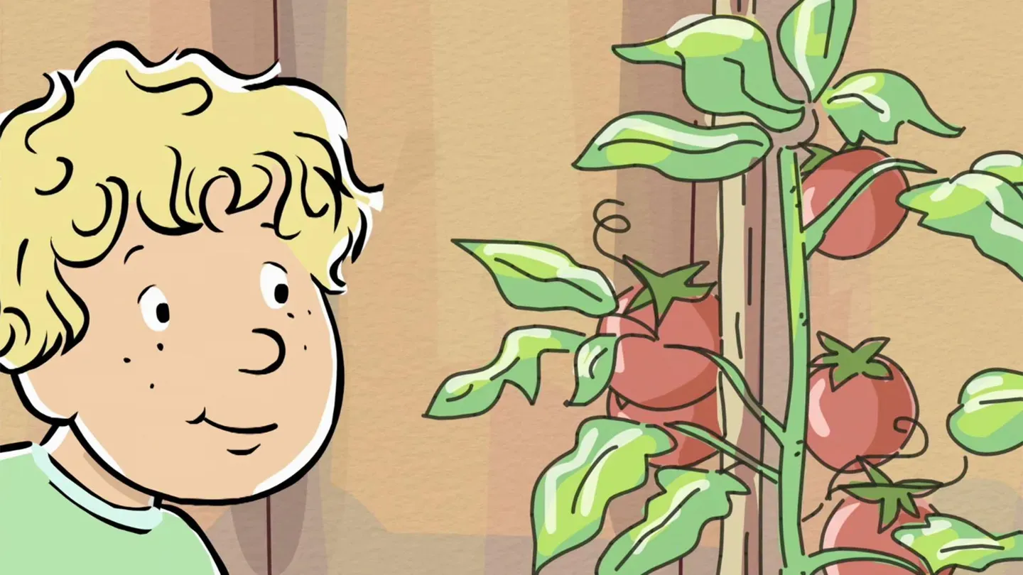 Tomato, You Say/Martha Questions