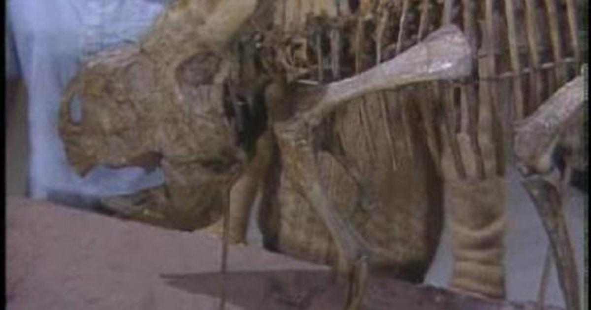 Mister Rogers' Neighborhood Dinosaur Exhibit at the Museum Season