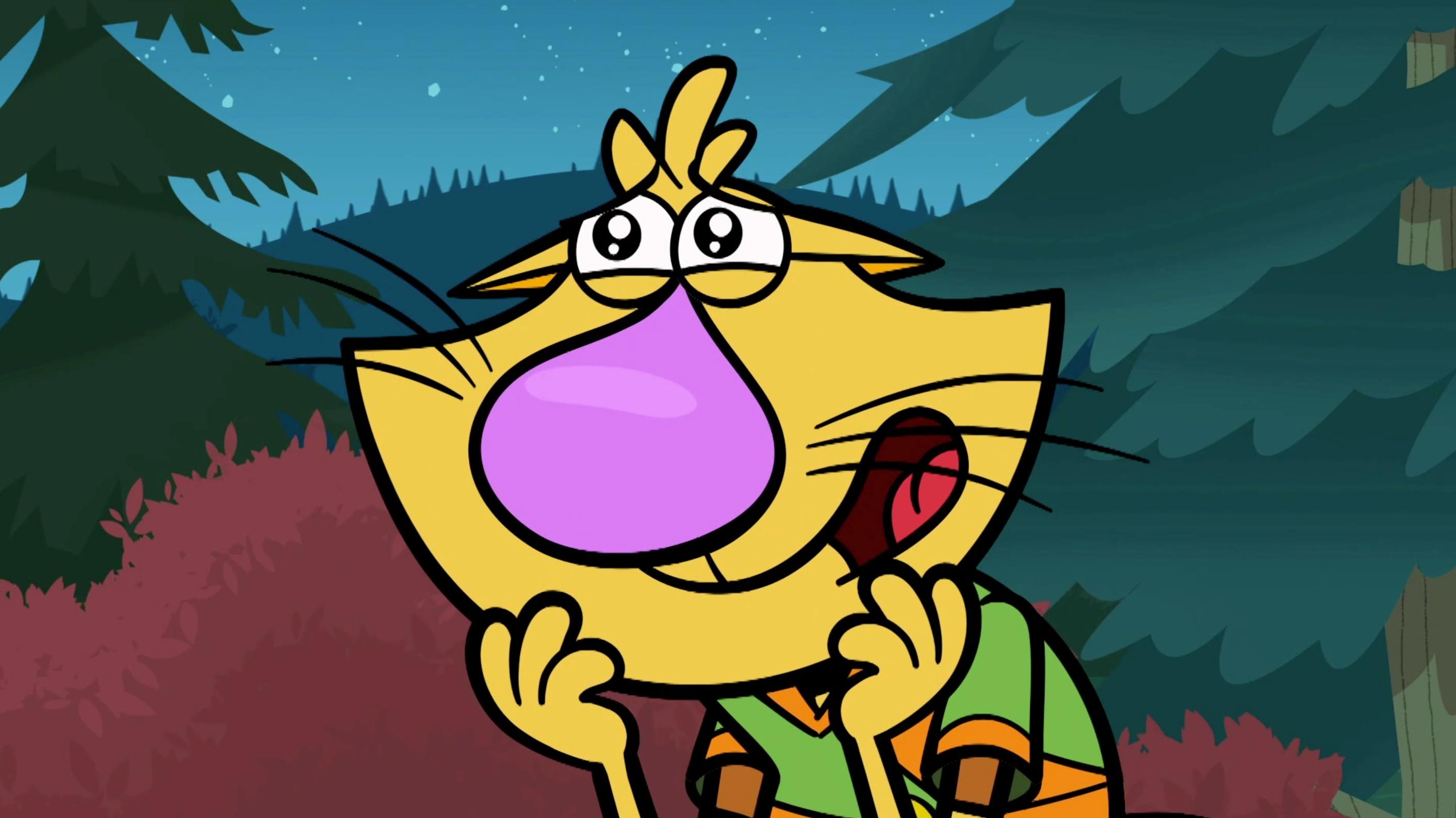 NATURE CAT The Furry Flu PBS KIDS atelieryuwa.ciao.jp