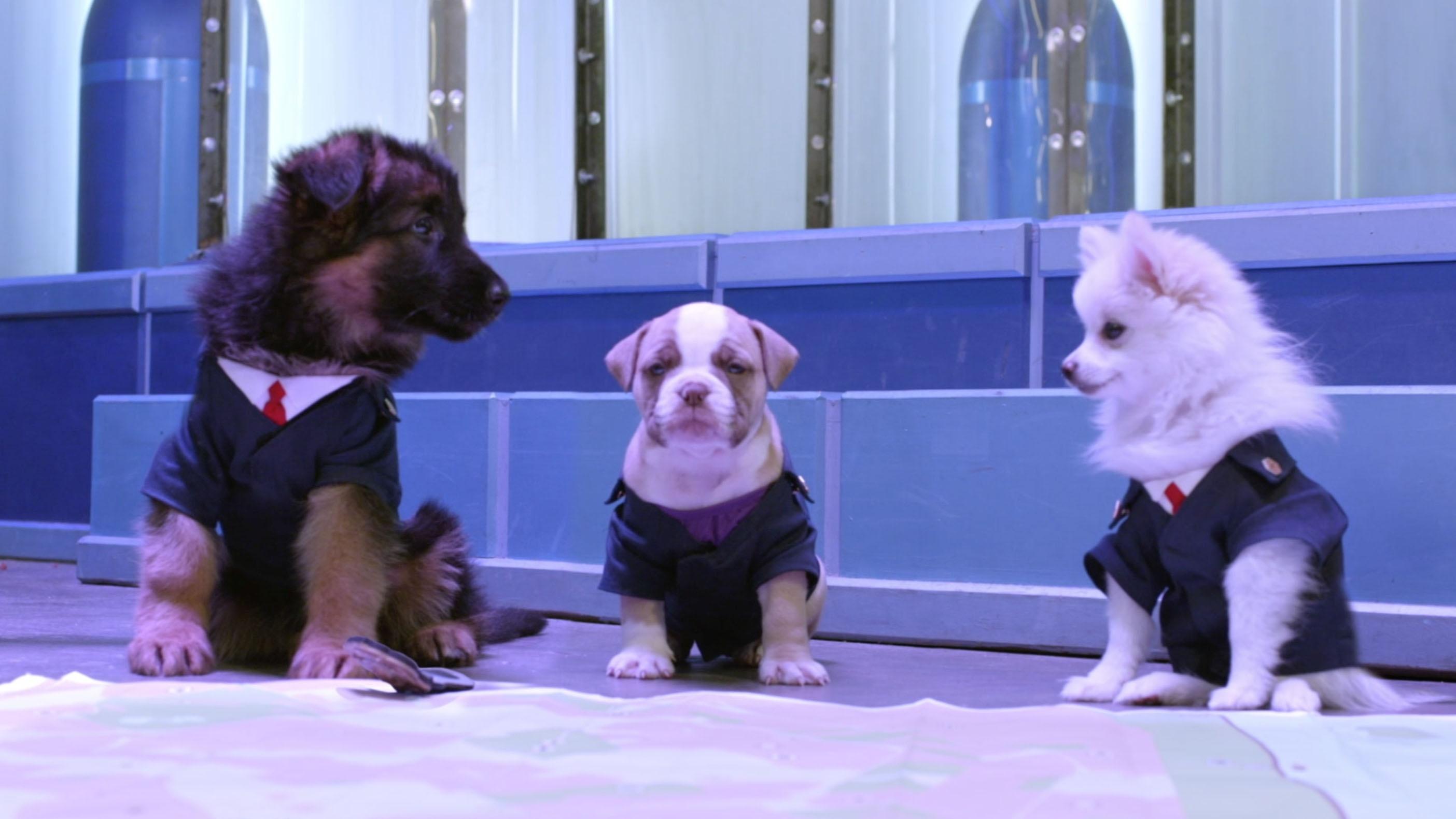 And Then They Were Puppies/A Case of the Sillies