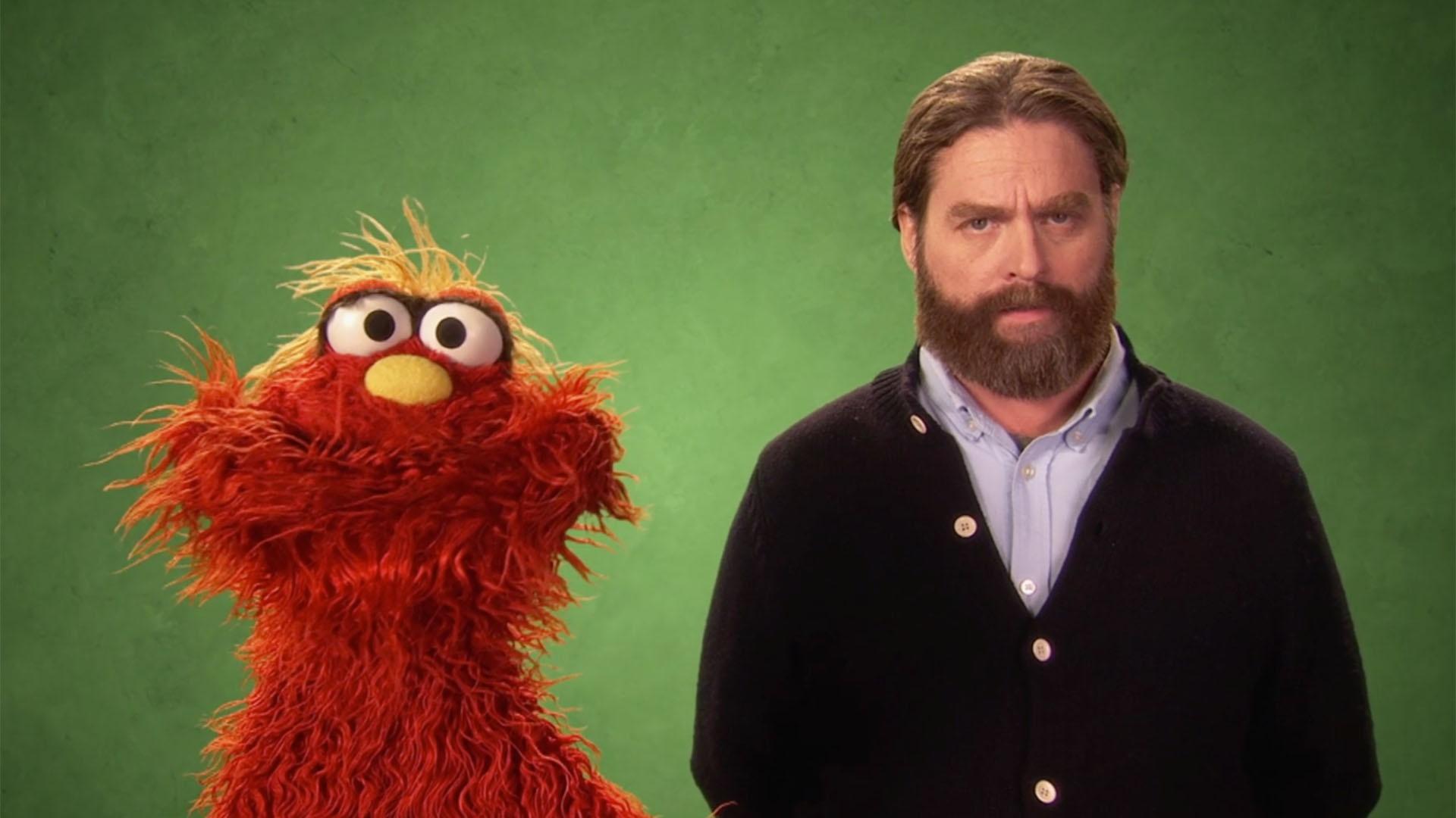 Zach Galifianakis Music Videos