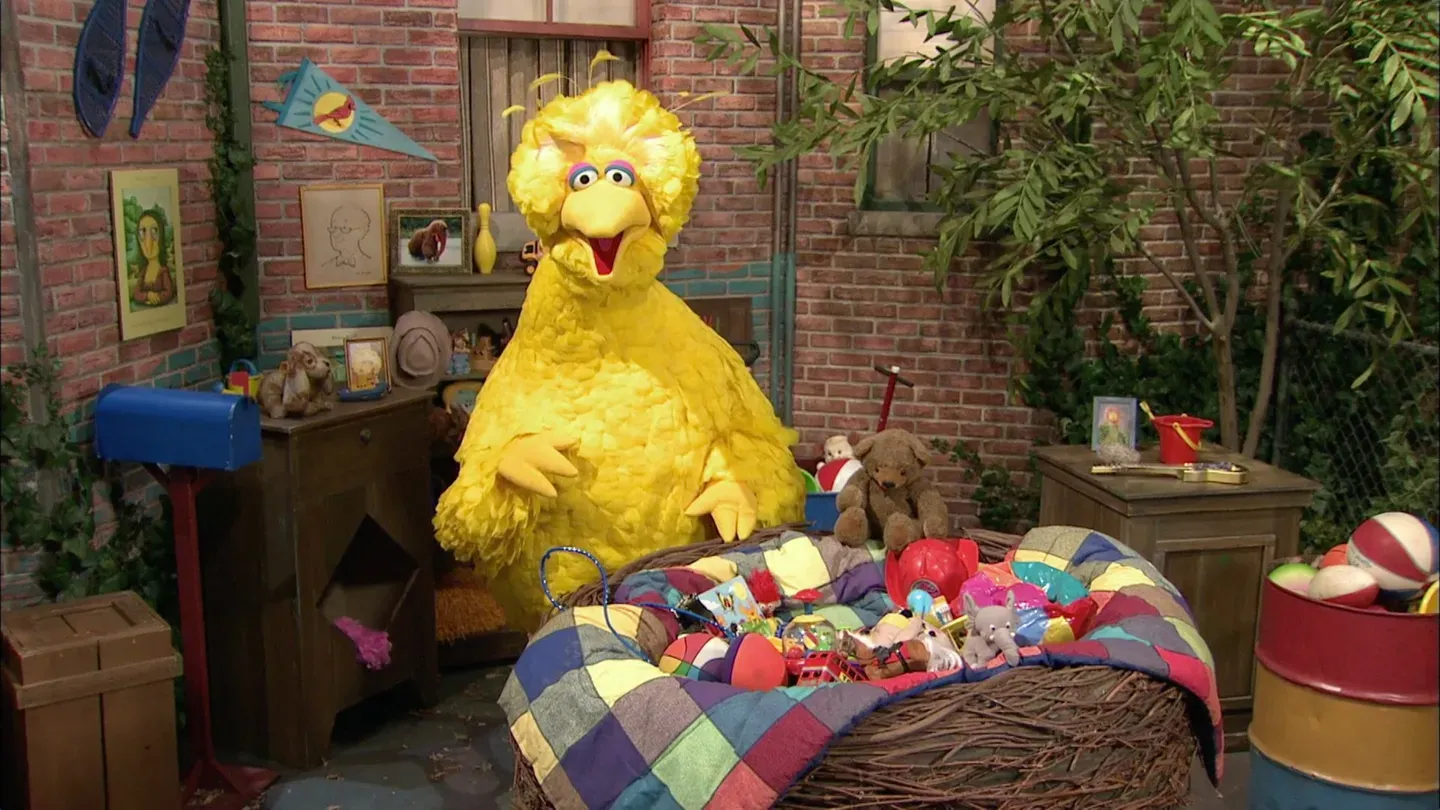 Big Bird's Nest Sale