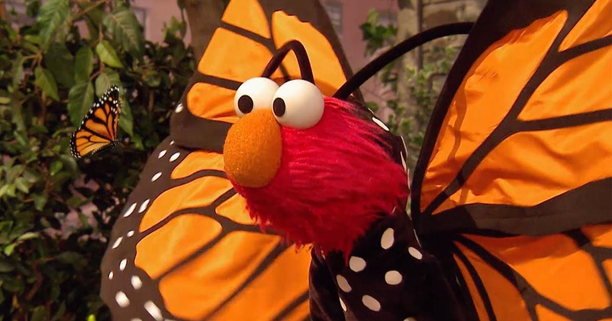 Sesame Street | Little Butterfly Friend | PBS