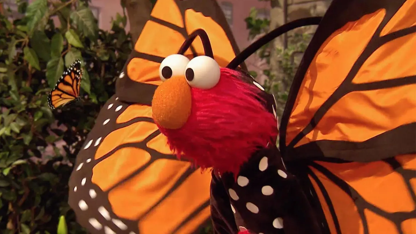 Little Butterfly Friend