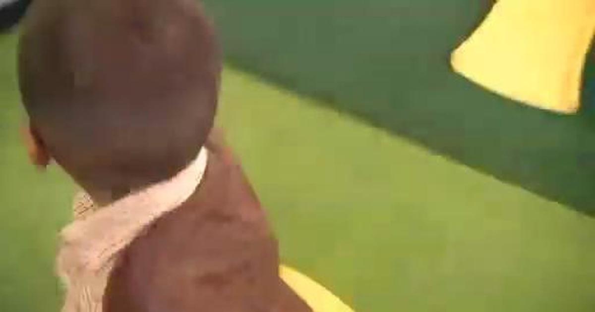 Sid the Science Kid | Multiple Moving Muscles | Season 1 | Episode 37 | PBS