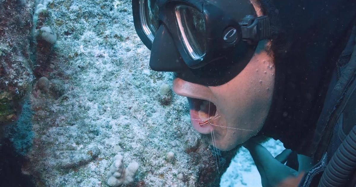 Splash and Bubbles Get Your Feet Wet Cleaning Station PBS