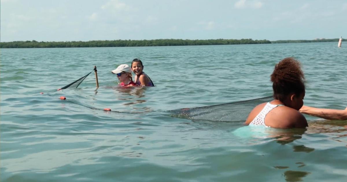 Splash And Bubbles Get Your Feet Wet Visiting The Ocean Pbs