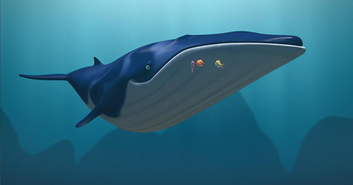 Splash and Bubbles Melody PBS