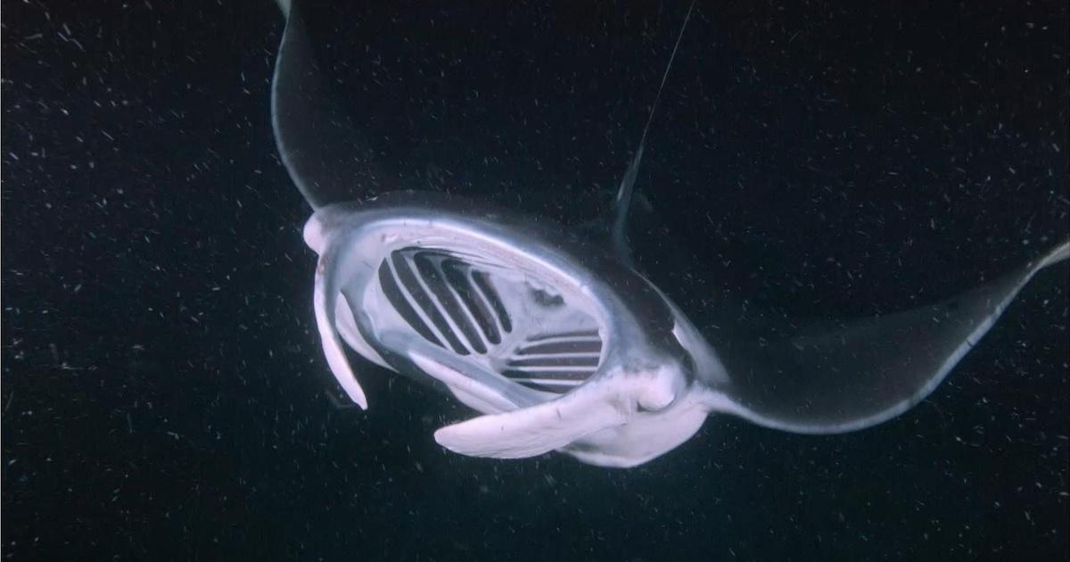 Splash and Bubbles Get Your Feet Wet Judy's Playground PBS