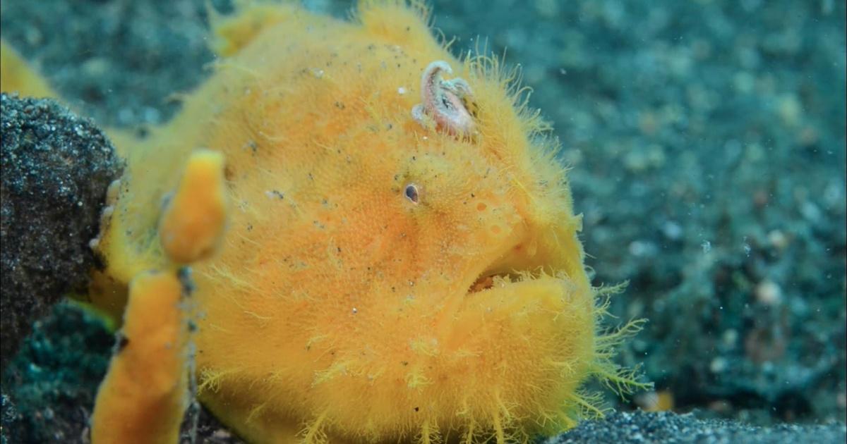 Splash and Bubbles Get Your Feet Wet with Splash, Bubbles, and Gush