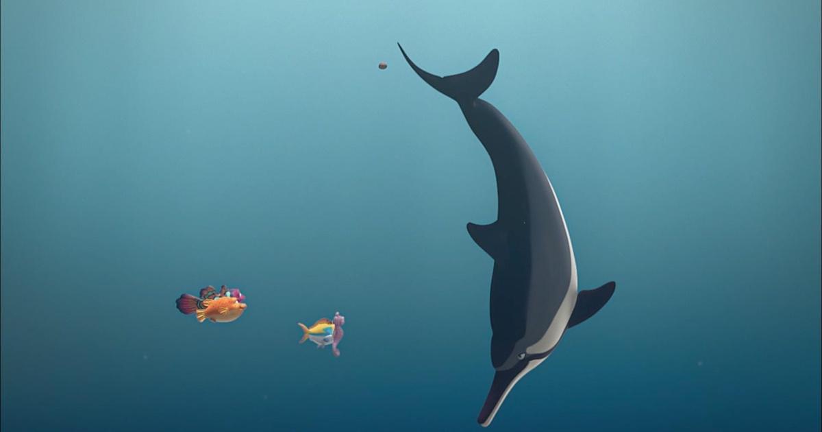 Splash and Bubbles Meet Dorsal PBS