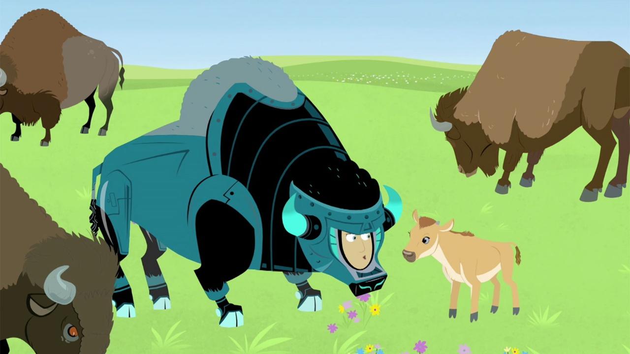 Wild Kratts Where the Bison Roam | On Alabama Public Television