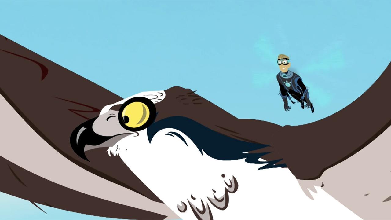 Wild Kratts Groundhog Wake Up Call Full Episode