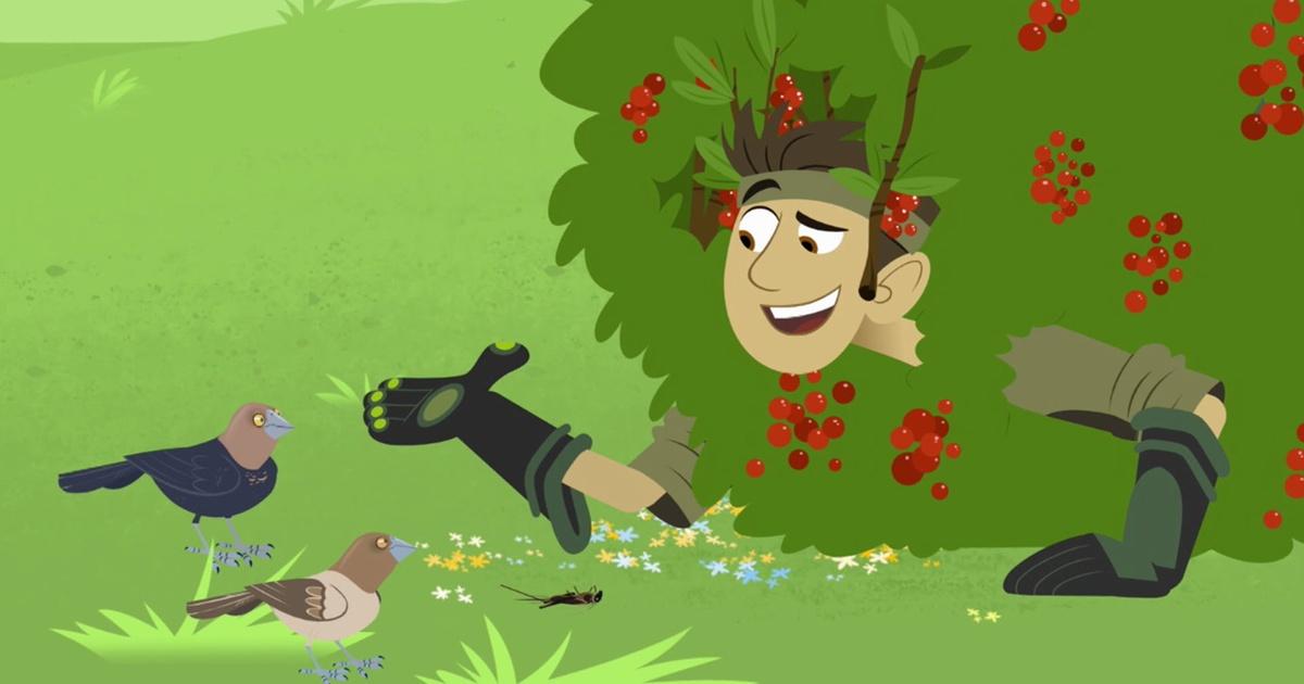 Wild Kratts | Mystery on the Prairie | Season 3 | Episode 14 | PBS