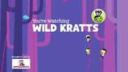You're Watching Wild Kratts