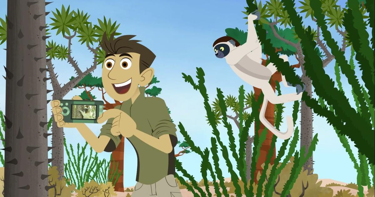 Wild Kratts Lemur Legs | atelier-yuwa.ciao.jp