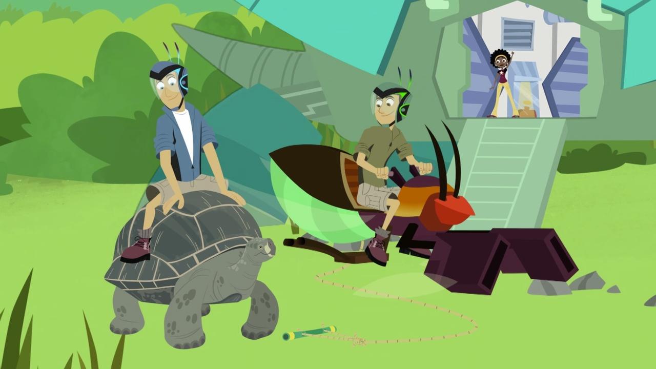 Wild Kratts Animals Who Live to Be 100 Years Old | On Alabama Public