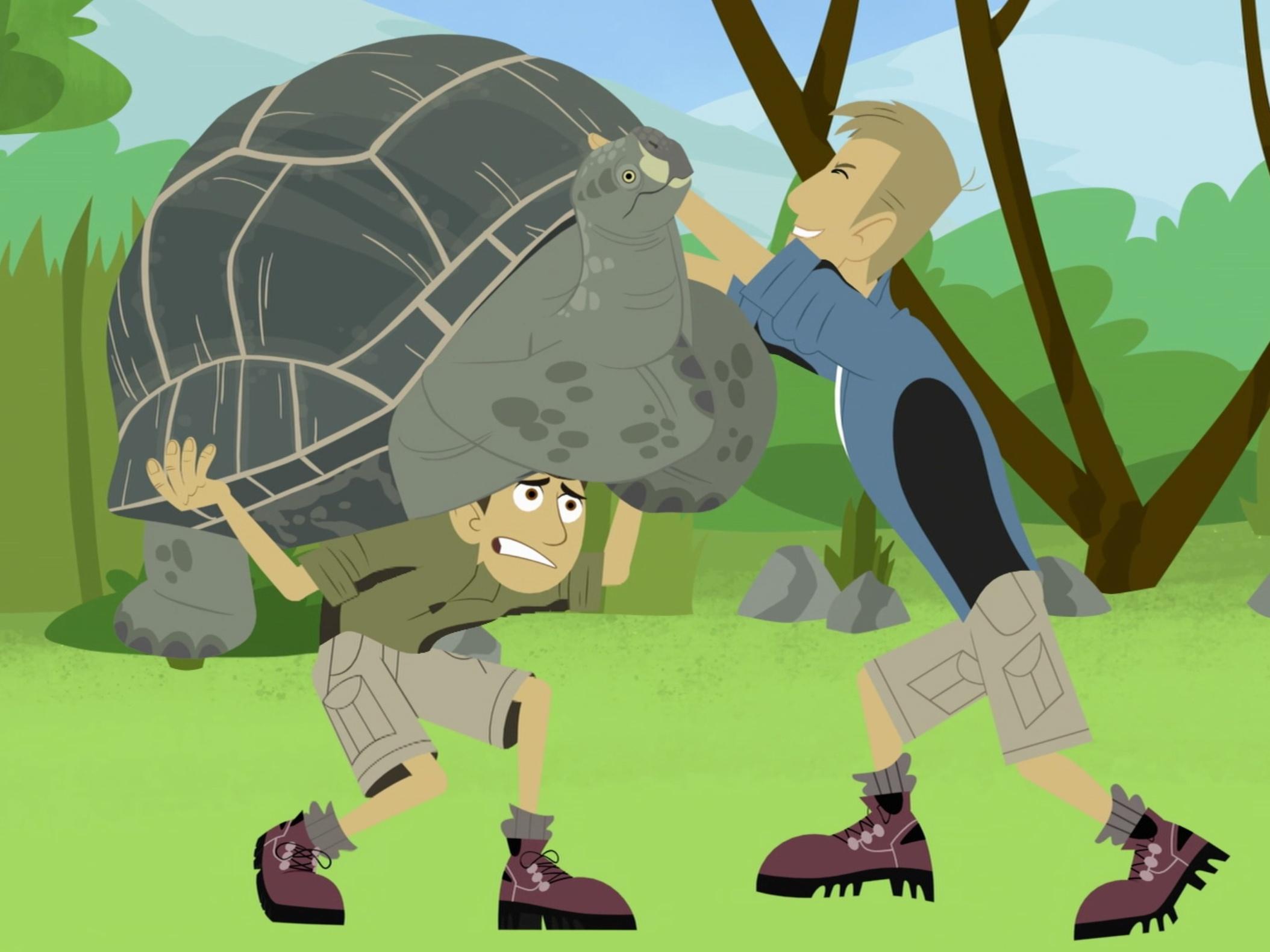 Wild Kratts - Villains Video Collection | Videos | PBS KIDS