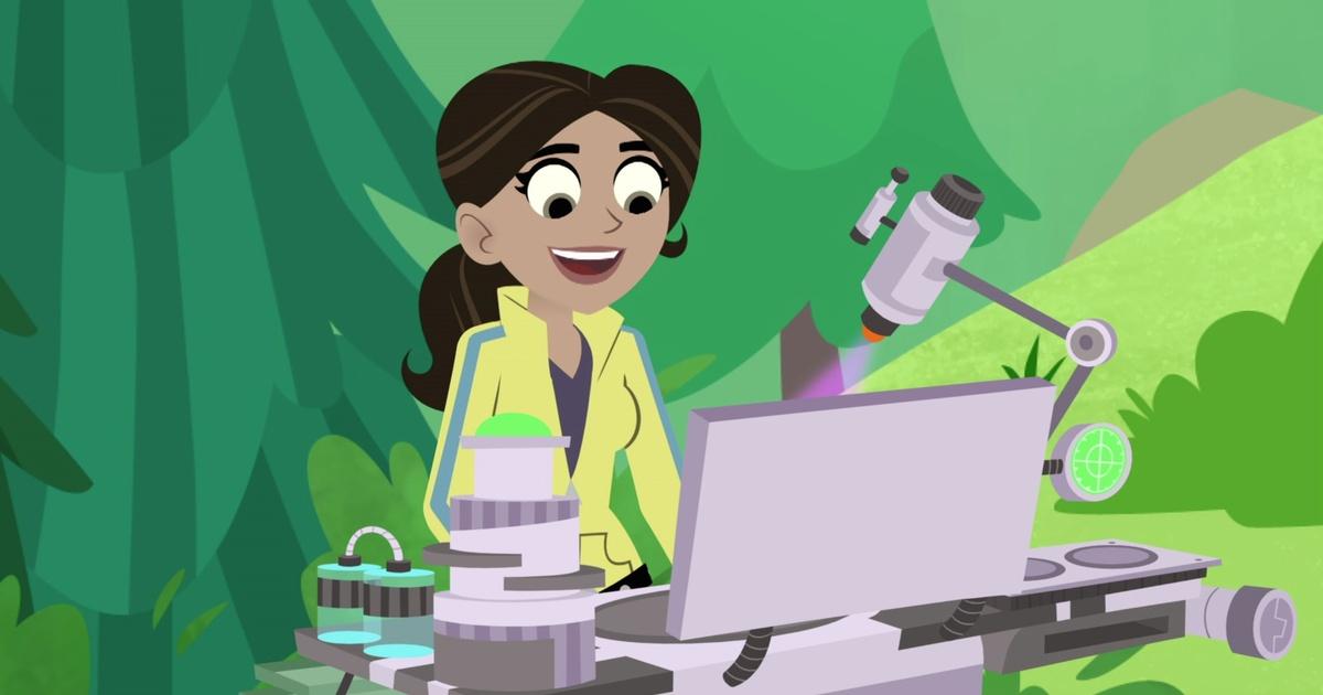 Wild Kratts | Looking for Bears | PBS