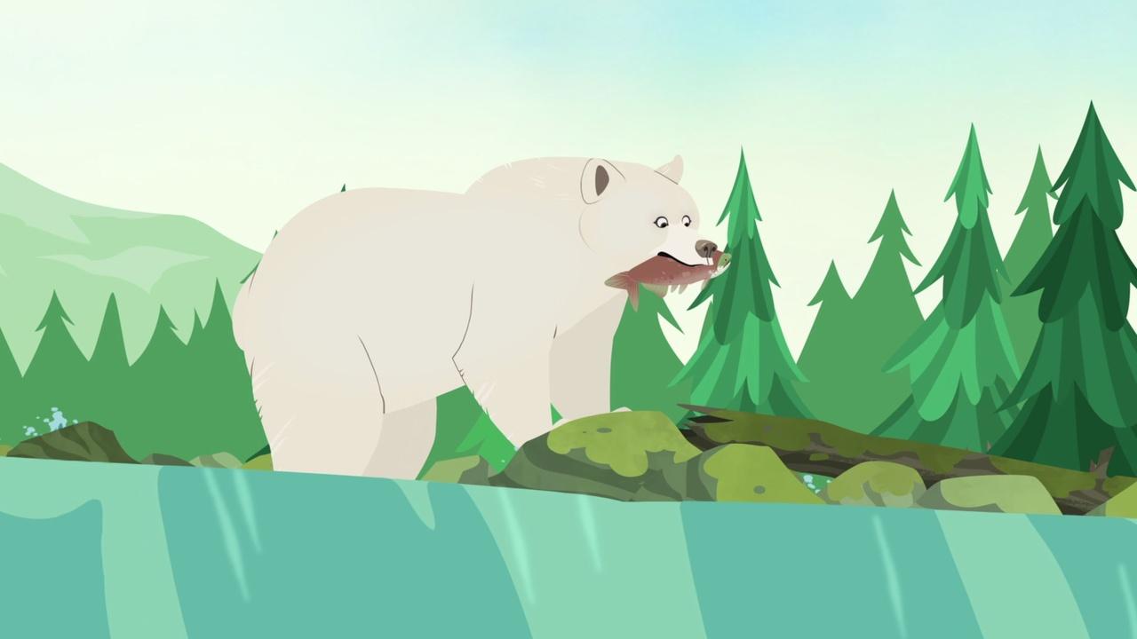 Wild Kratts Spirit Bear | On Alabama Public Television