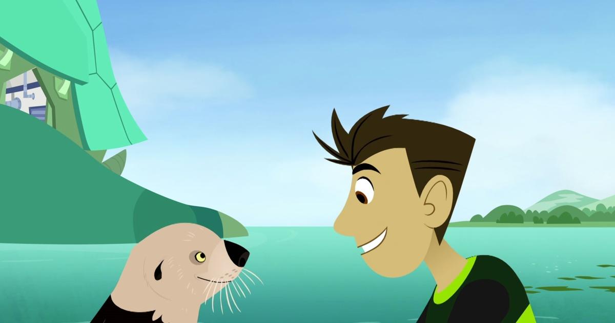 Wild Kratts | Sea Otter Swim | Season 4 | Episode 14 | KQED