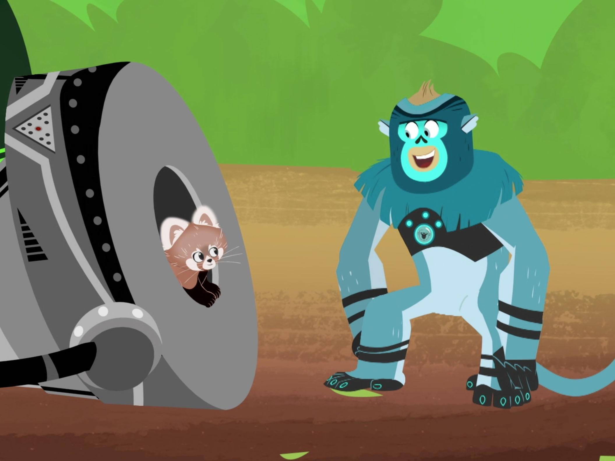 Wild Kratts - Red Panda Rescue Mission Video | PBS KIDS
